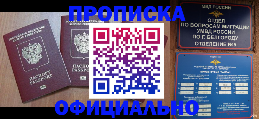 найти адрес прописки в Камешково